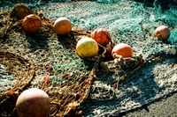 license free license free