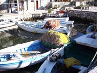 license free license free